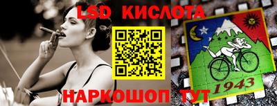 прущие грибы Будённовск