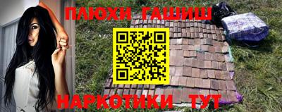 прущие грибы Будённовск